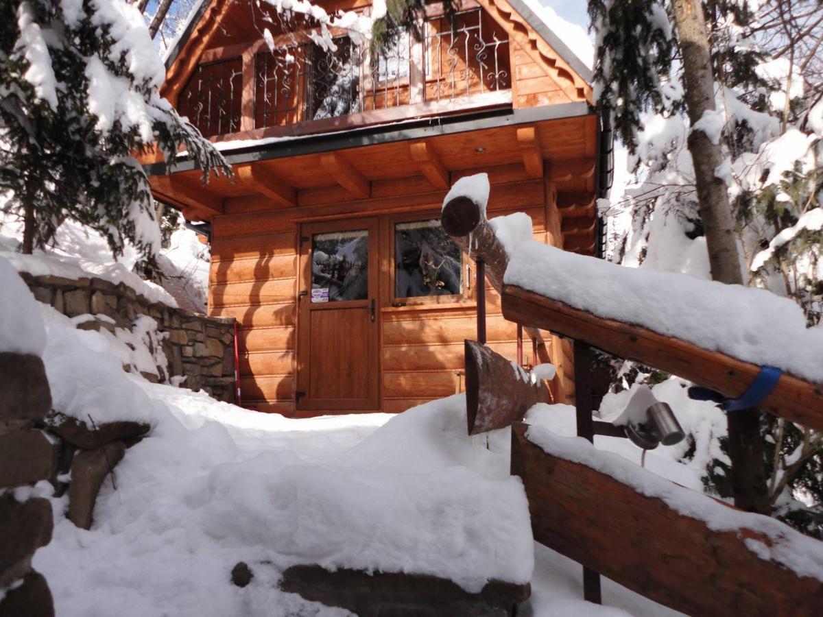 Domki Mroz Zakopane Exterior foto