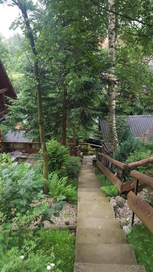Domki Mroz Zakopane Exterior foto
